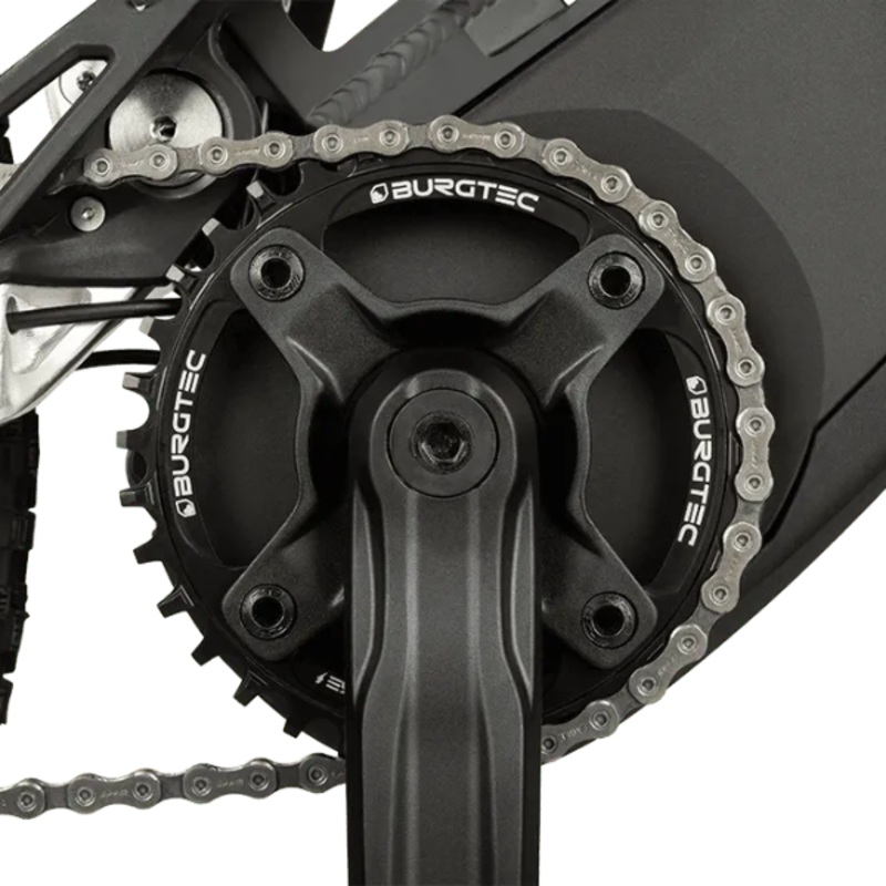 Burgtec 104mm BCD Inside Fit E-Bike Steel Thick Thin Chainring Burgtec 104 BCD Inside Fit E-Bike Steel Thick/Thin Chain Ring 32T [Bosch ETC]  (Includes 8mm x 0.75mm x 8mm Long bolts)