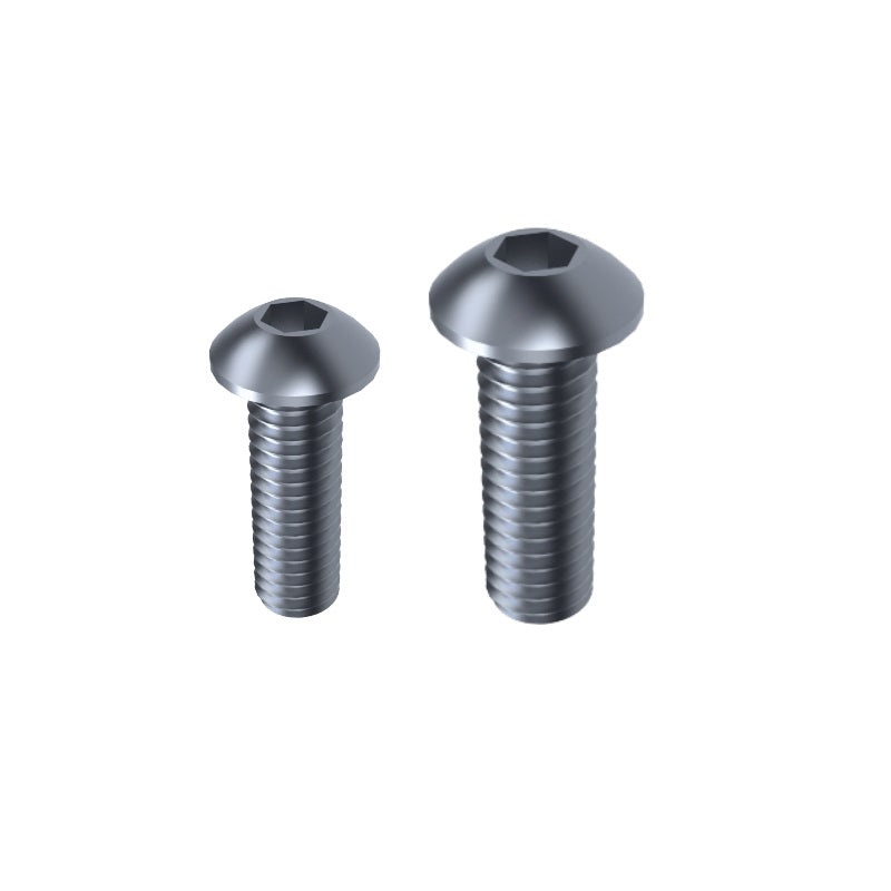 M6 Allen Button Head Screws SCREW BUTTON ALLEN HD METRIC 6MMX16 (10)