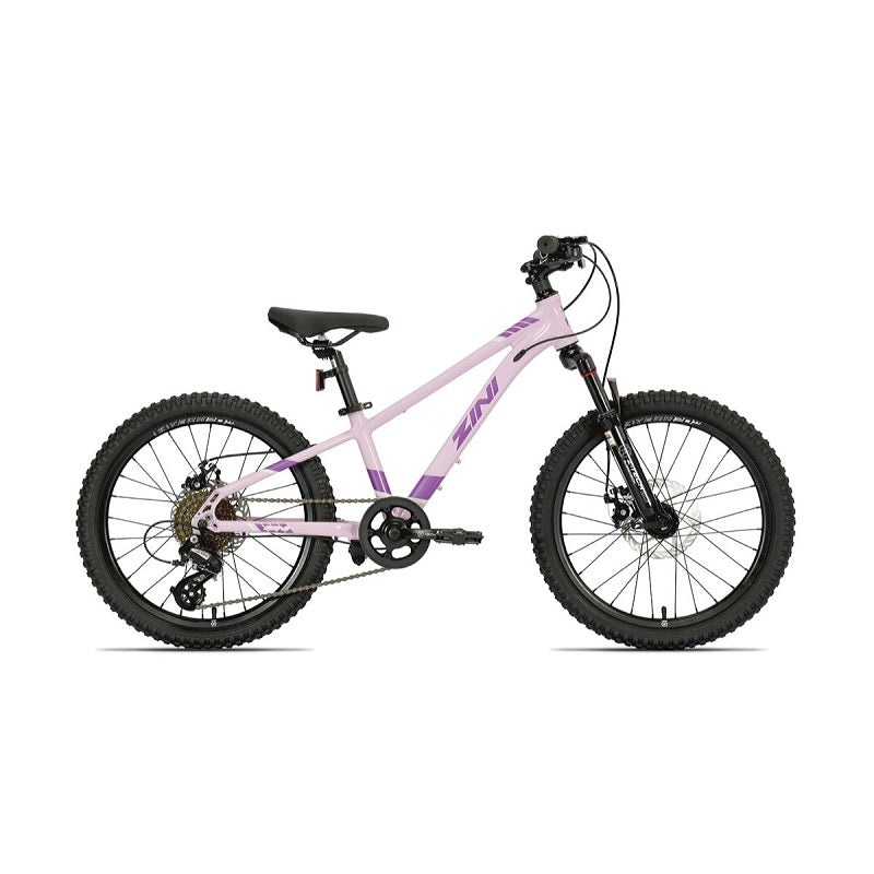 ZINI Z20 Disc Girls (2024)