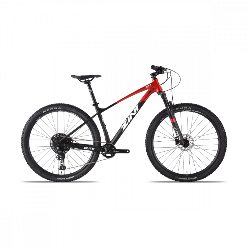 ZINI Z29 Elite (2023) L